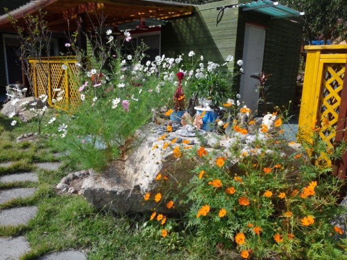 보트,보드,코스모스_(35).jpg