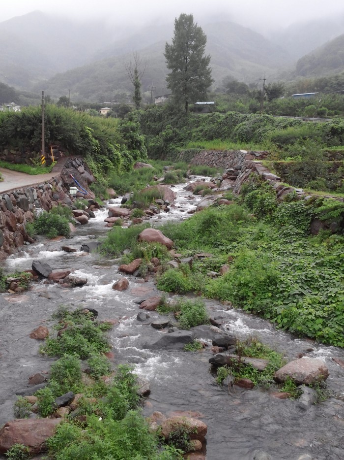 20140706_132631.jpg